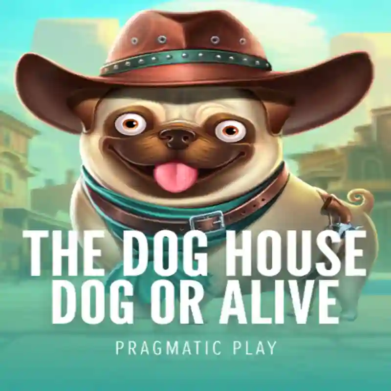 Dog House Dog & Alive casino